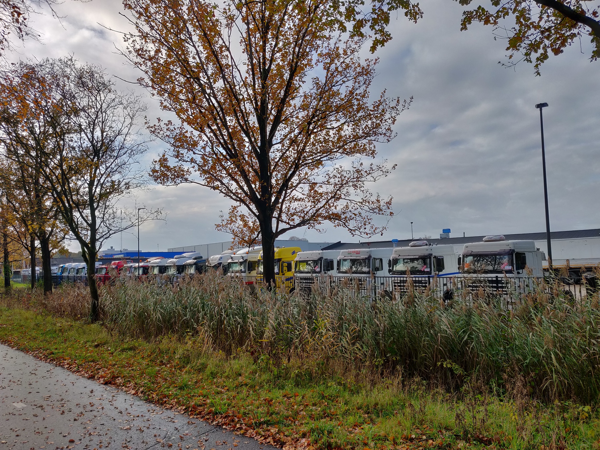 Truck Trading Holland undefined: billede 17