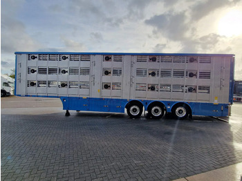 Ny Veetransport sættevogn Pezzaioli New 3 stock livestock trailer 95.4M2 - Water & Ventilation - Lifting floors - Lifting roof - Lift axle: billede 5 Ny Veetransport sættevogn Pezzaioli New 3 stock livestock trailer 95.4M2 - Water & Ventilation - Lifting floors - Lifting roof - Lift axle: billede 5