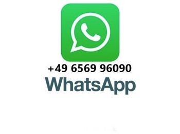 Leje en Iveco Trakker 330 EEV Winterdienst Abroll Iveco Trakker 330 EEV Winterdienst Abroll: billede 2 Leje en Iveco Trakker 330 EEV Winterdienst Abroll Iveco Trakker 330 EEV Winterdienst Abroll: billede 2