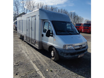 Ladbil Peugeot COXX: billede 2