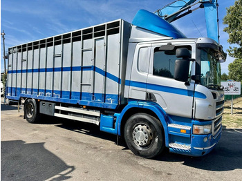 Veetransport lastbil SCANIA P 310