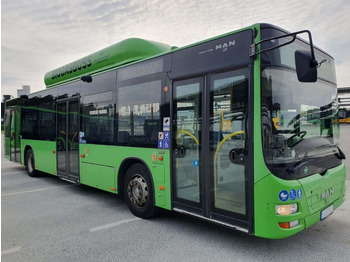 Bybus MAN Lion's City A21