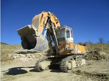 Bæltegravemaskine LIEBHERR R 974