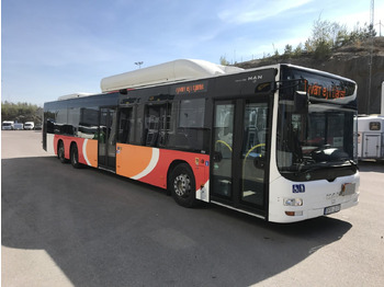 Bybus MAN Lion's City A26