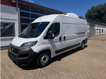 Kølebil FIAT Ducato