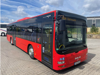 Bybus MAN Lion's City A20