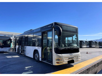 Bybus MAN Lion's City