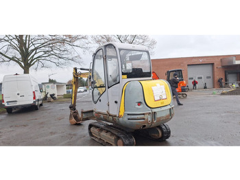 Minigravemaskine WACKER NEUSON Wacker Neuson 2503-WD Radbagger: billede 4