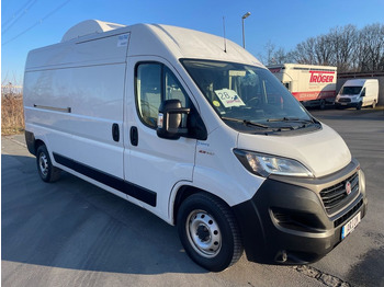 Kølebil FIAT Ducato Maxi