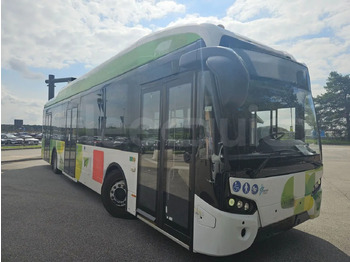 Bybus