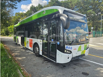 Bybus