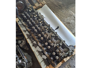 Motorhoved RENAULT Magnum