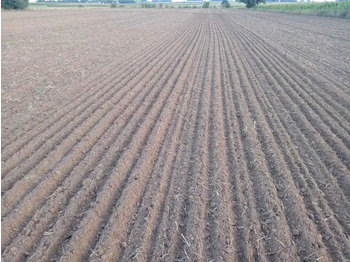 Maskine til jordbearbejdning Lemken Karat 9/500 agregat bezorkowy: billede 2 Maskine til jordbearbejdning Lemken Karat 9/500 agregat bezorkowy: billede 2