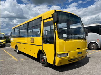 Skolebus IVECO