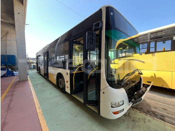 Bybus MAN Lion's City