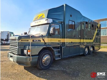 Hestetransporter SCANIA 113