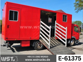 Hestetransporter MERCEDES-BENZ