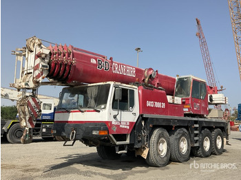 Alle terræn kran LIEBHERR