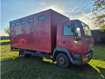 Lastbil MAN L 75F HORSE TRAILER 1994: billede 3