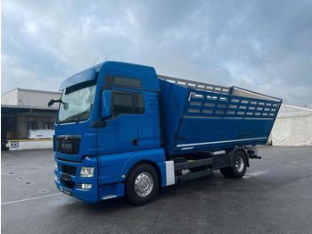 Tipvogn lastbil MAN TGX 18.480