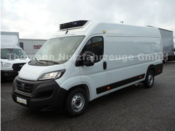 Kølebil FIAT Ducato