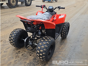 ATV/ Quad Unused 2025 Skytron Cub, 110cc Petrol Quad Bike, Liquid Cooled, LED Lighting Pack (Unassembled): billede 5 ATV/ Quad Unused 2025 Skytron Cub, 110cc Petrol Quad Bike, Liquid Cooled, LED Lighting Pack (Unassembled): billede 5