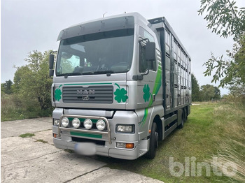 Veetransport lastbil MAN TGA