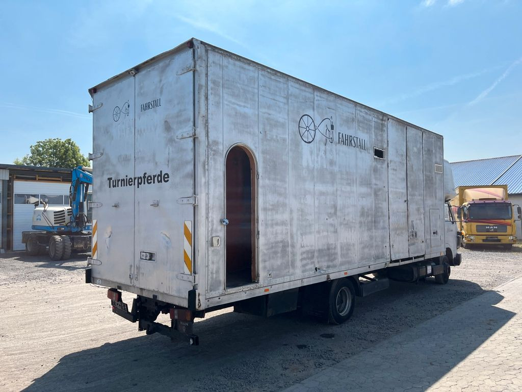 MAN VW-MAN LO2 Koffer Schlafkabine - Varebil med kasse: billede 4 MAN VW-MAN LO2 Koffer Schlafkabine - Varebil med kasse: billede 4