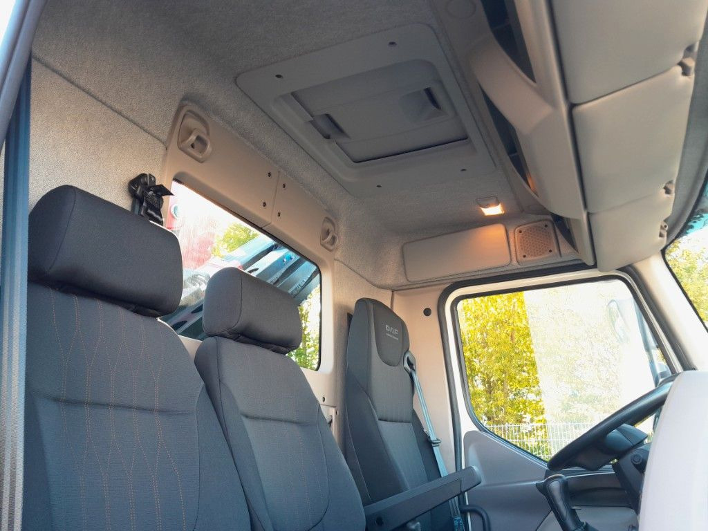 Ny Tipvogn lastbil, Lastbil med kran DAF LF 290 16t Meiller Krankipper Tageszulassung DAF LF 290 16t Meiller Krankipper Tageszulassung: billede 18