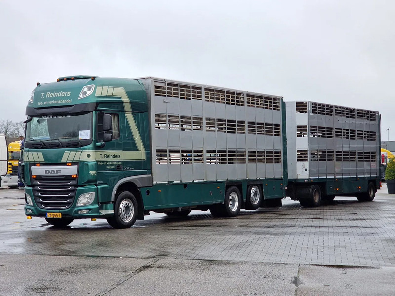 DAF XF 440 SuperSpaceCab 6x2*4 - Cuppers 1-2-3 deck Livestock + Cuppers 3 deck trailer 2009 - Veetransport lastbil: billede 4 DAF XF 440 SuperSpaceCab 6x2*4 - Cuppers 1-2-3 deck Livestock + Cuppers 3 deck trailer 2009 - Veetransport lastbil: billede 4