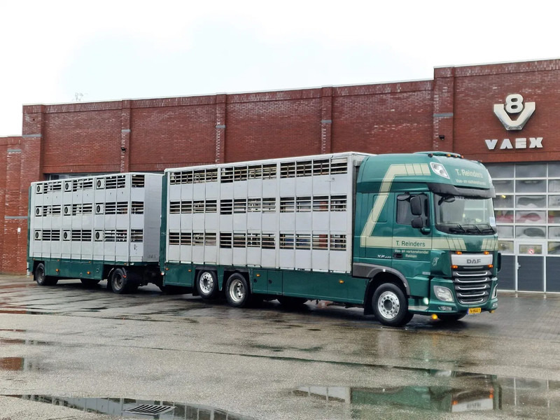DAF XF 440 SuperSpaceCab 6x2*4 - Cuppers 1-2-3 deck Livestock + Cuppers 3 deck trailer 2009 - Veetransport lastbil: billede 2 DAF XF 440 SuperSpaceCab 6x2*4 - Cuppers 1-2-3 deck Livestock + Cuppers 3 deck trailer 2009 - Veetransport lastbil: billede 2