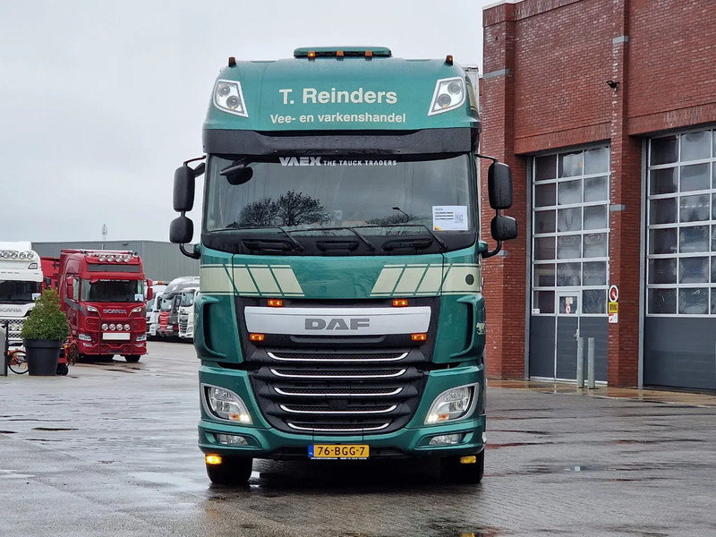 DAF XF 440 SuperSpaceCab 6x2*4 - Cuppers 1-2-3 deck Livestock + Cuppers 3 deck trailer 2009 - Veetransport lastbil: billede 3 DAF XF 440 SuperSpaceCab 6x2*4 - Cuppers 1-2-3 deck Livestock + Cuppers 3 deck trailer 2009 - Veetransport lastbil: billede 3