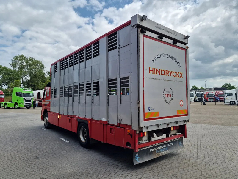 Volvo FM 250 4x- Livestock 2 deck - Lifting floors - Loadlift - Manual gearbox - Veetransport lastbil: billede 5 Volvo FM 250 4x- Livestock 2 deck - Lifting floors - Loadlift - Manual gearbox - Veetransport lastbil: billede 5