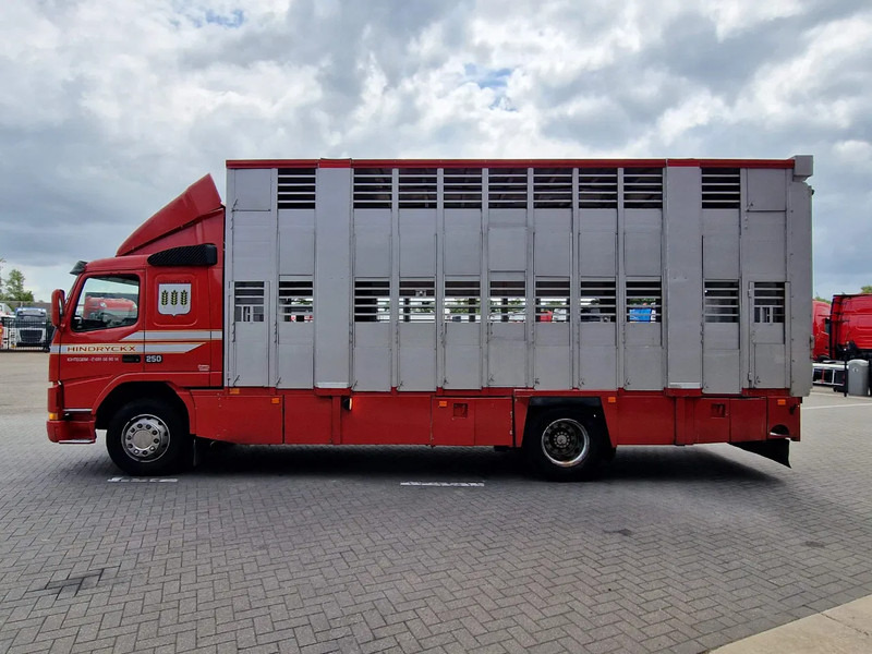 Volvo FM 250 4x- Livestock 2 deck - Lifting floors - Loadlift - Manual gearbox - Veetransport lastbil: billede 4 Volvo FM 250 4x- Livestock 2 deck - Lifting floors - Loadlift - Manual gearbox - Veetransport lastbil: billede 4