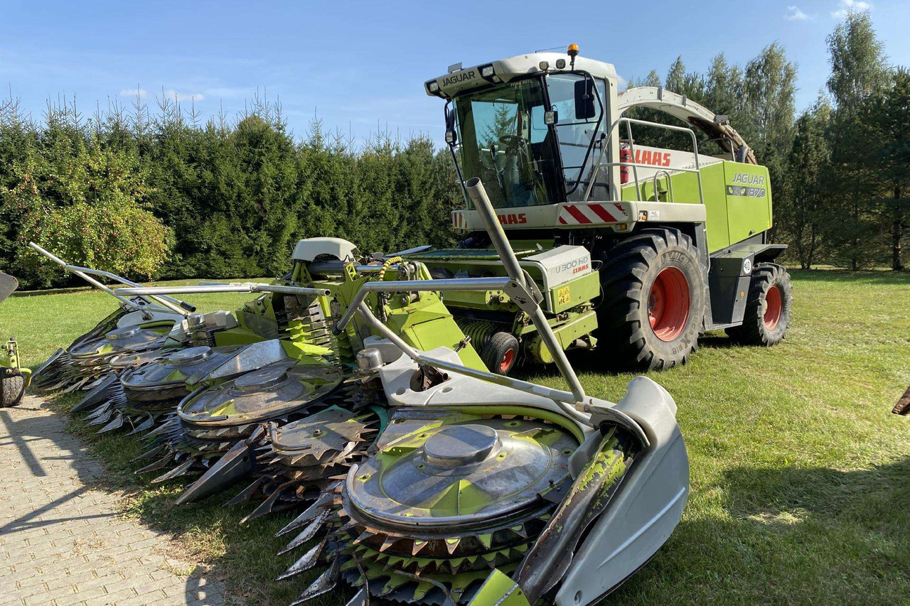 Claas Jaguar 870 SpeedStar - Grønthøster: billede 4 Claas Jaguar 870 SpeedStar - Grønthøster: billede 4