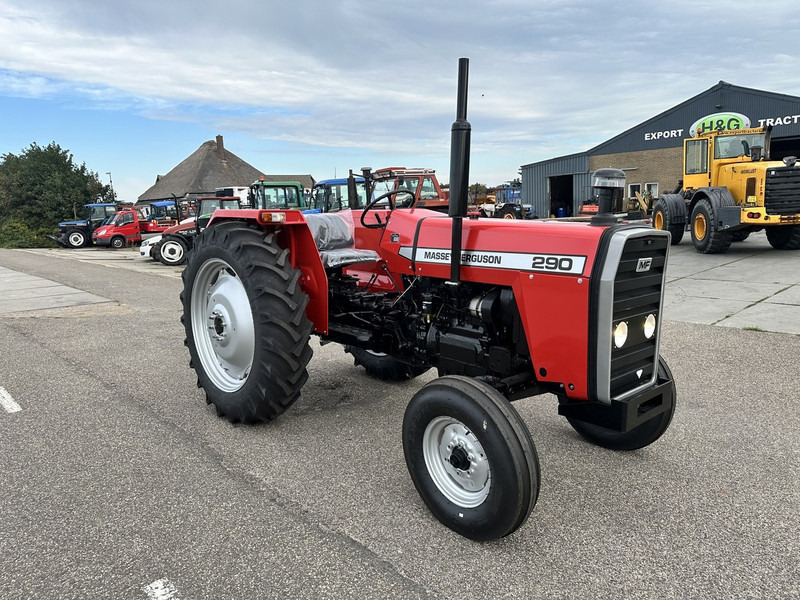 Massey Ferguson 290 - Traktor: billede 3 Massey Ferguson 290 - Traktor: billede 3