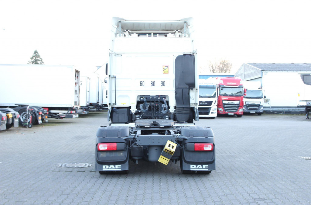 Trækker Daf XF  480 SC Retarder   Standklima  Kühlbox: billede 11