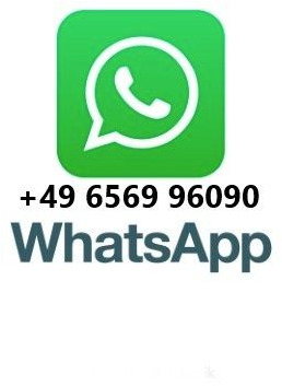 MAN TGS 18.320 4x4 Winterdienst Wechselsystem Unfall - Lastbil chassis: billede 2 MAN TGS 18.320 4x4 Winterdienst Wechselsystem Unfall - Lastbil chassis: billede 2