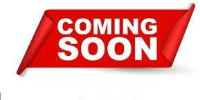 MAN TGS 18.320 4x4 Winterdienst Wechselsystem Unfall - Lastbil chassis: billede 3 MAN TGS 18.320 4x4 Winterdienst Wechselsystem Unfall - Lastbil chassis: billede 3