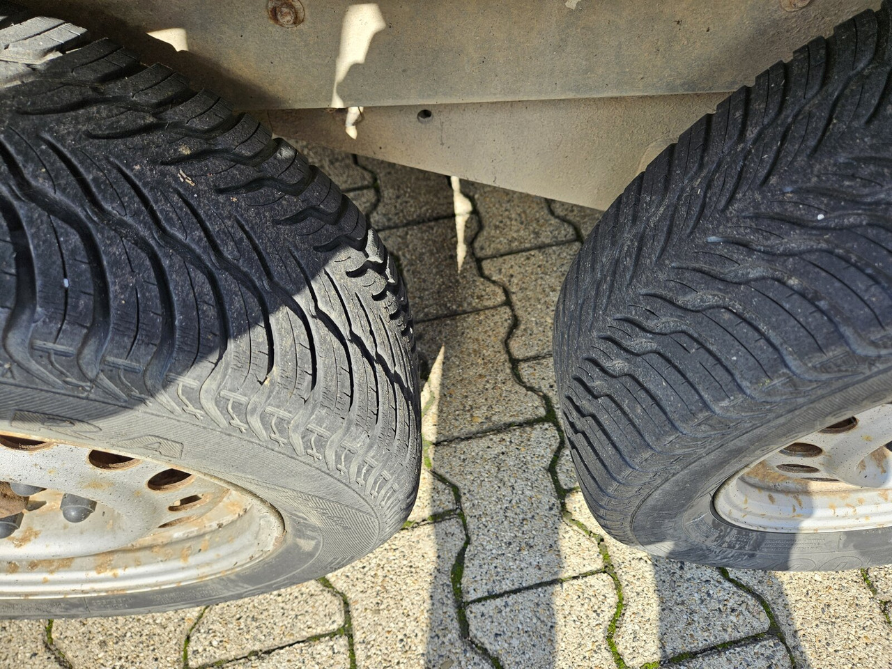 Blomert T2BPA Pferdeanhänger T2BPA Pferdeanhänger - Hestetrailer: billede 5 Blomert T2BPA Pferdeanhänger T2BPA Pferdeanhänger - Hestetrailer: billede 5