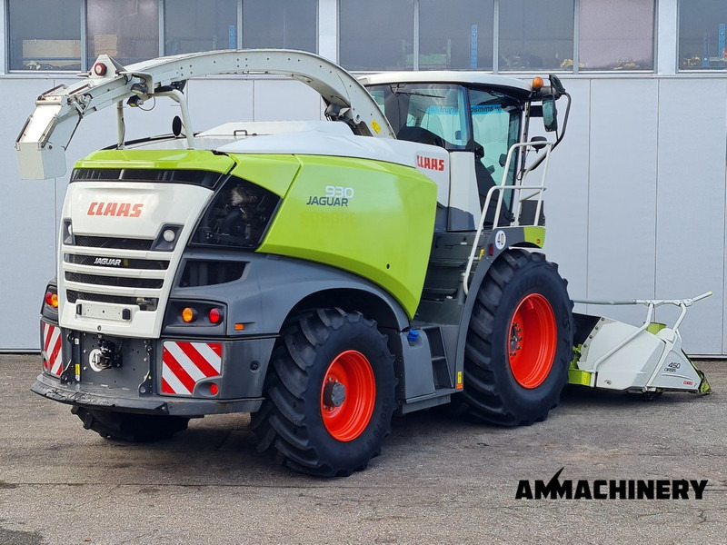 Claas Jaguar 930 4WD, 40KM/H - Grønthøster: billede 5 Claas Jaguar 930 4WD, 40KM/H - Grønthøster: billede 5