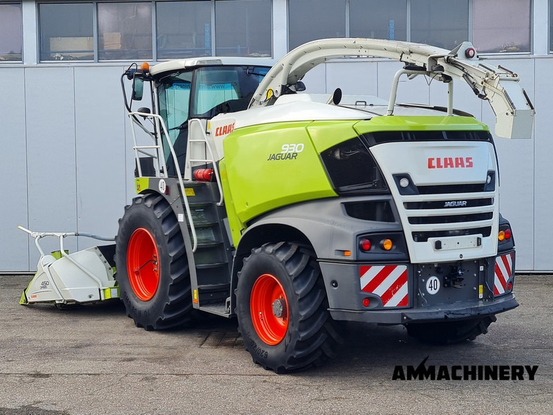 Claas Jaguar 930 4WD, 40KM/H - Grønthøster: billede 3 Claas Jaguar 930 4WD, 40KM/H - Grønthøster: billede 3