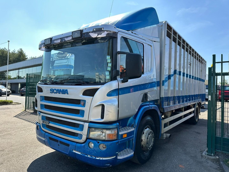 Scania P310 4x2 LIVESTOCK / VEEWAGEN / TIERTRANSPORT / BETAILLERE - ALU BOX 7m - MANUAL - A/C - BELGIAN TRUCK - Veetransport lastbil: billede 3 Scania P310 4x2 LIVESTOCK / VEEWAGEN / TIERTRANSPORT / BETAILLERE - ALU BOX 7m - MANUAL - A/C - BELGIAN TRUCK - Veetransport lastbil: billede 3