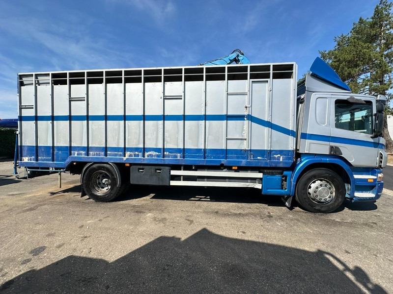 Scania P310 4x2 LIVESTOCK / VEEWAGEN / TIERTRANSPORT / BETAILLERE - ALU BOX 7m - MANUAL - A/C - BELGIAN TRUCK - Veetransport lastbil: billede 4 Scania P310 4x2 LIVESTOCK / VEEWAGEN / TIERTRANSPORT / BETAILLERE - ALU BOX 7m - MANUAL - A/C - BELGIAN TRUCK - Veetransport lastbil: billede 4