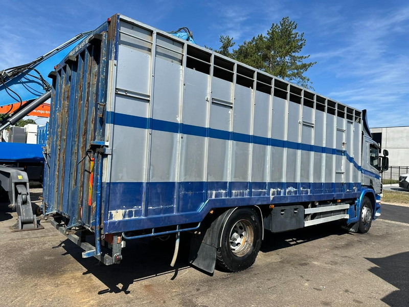 Scania P310 4x2 LIVESTOCK / VEEWAGEN / TIERTRANSPORT / BETAILLERE - ALU BOX 7m - MANUAL - A/C - BELGIAN TRUCK - Veetransport lastbil: billede 5 Scania P310 4x2 LIVESTOCK / VEEWAGEN / TIERTRANSPORT / BETAILLERE - ALU BOX 7m - MANUAL - A/C - BELGIAN TRUCK - Veetransport lastbil: billede 5