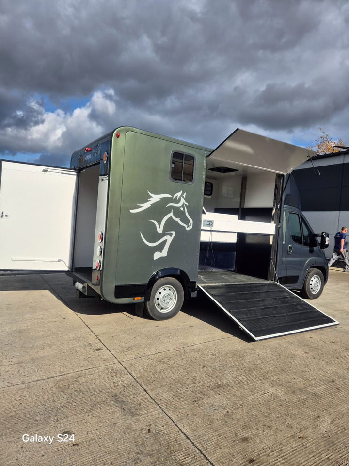 Opel Bannert Koniowoz / Horse Truck / In Stock - Hestetransporter: billede 3 Opel Bannert Koniowoz / Horse Truck / In Stock - Hestetransporter: billede 3