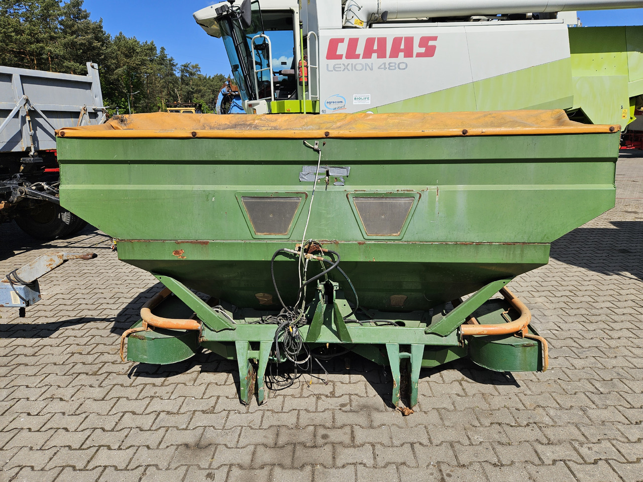 Amazone - Gyllenedfælder: billede 2 Amazone - Gyllenedfælder: billede 2