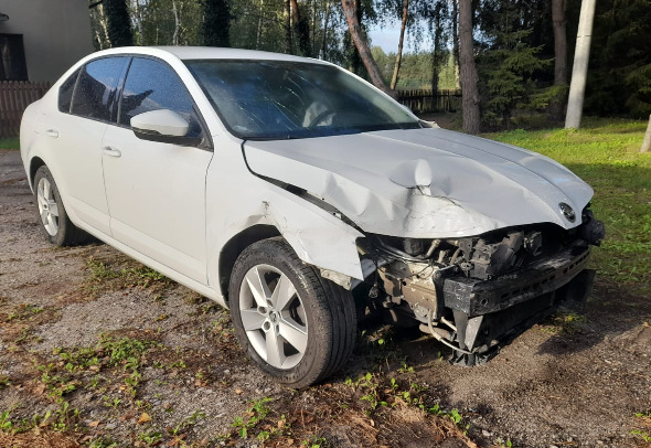 Bil Skoda Octavia: billede 1