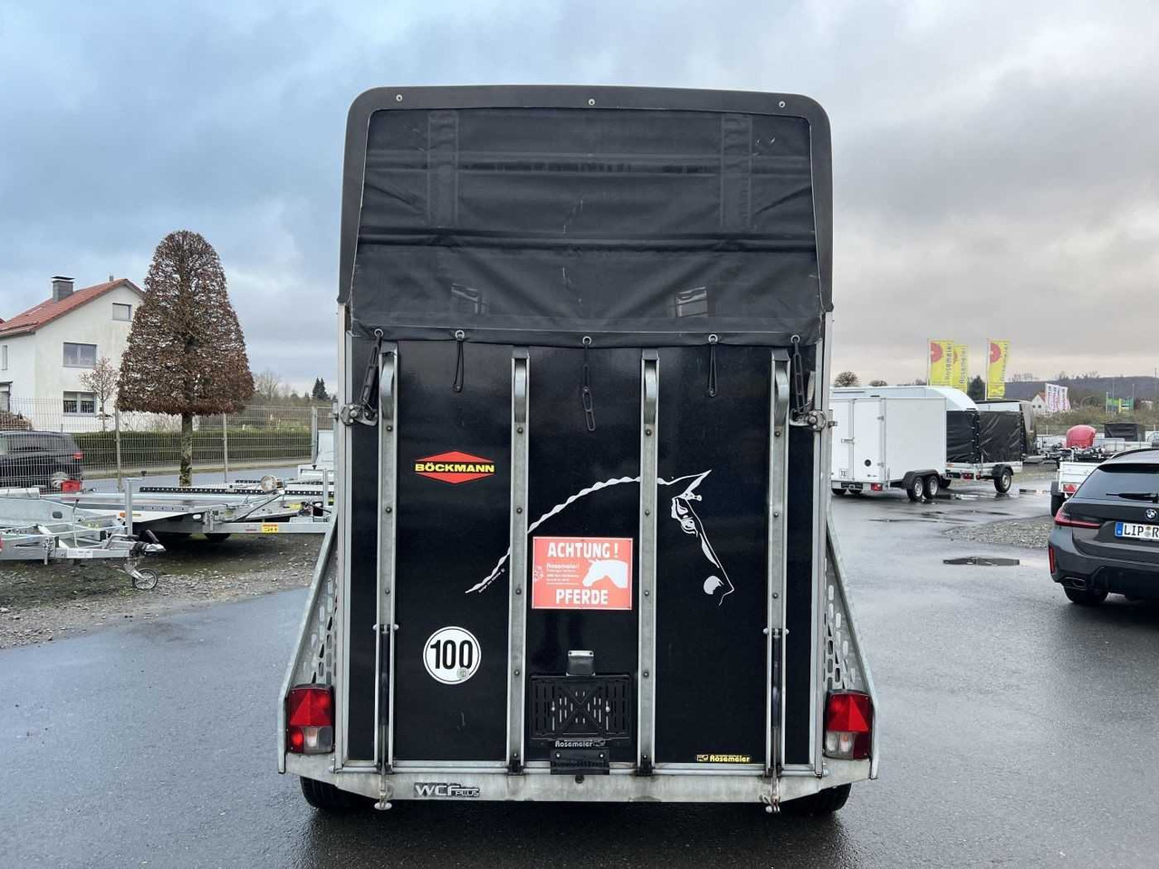 BOECKMANN Master S - WCF ALB Pferdeanhänger - Hestetrailer: billede 3 BOECKMANN Master S - WCF ALB Pferdeanhänger - Hestetrailer: billede 3
