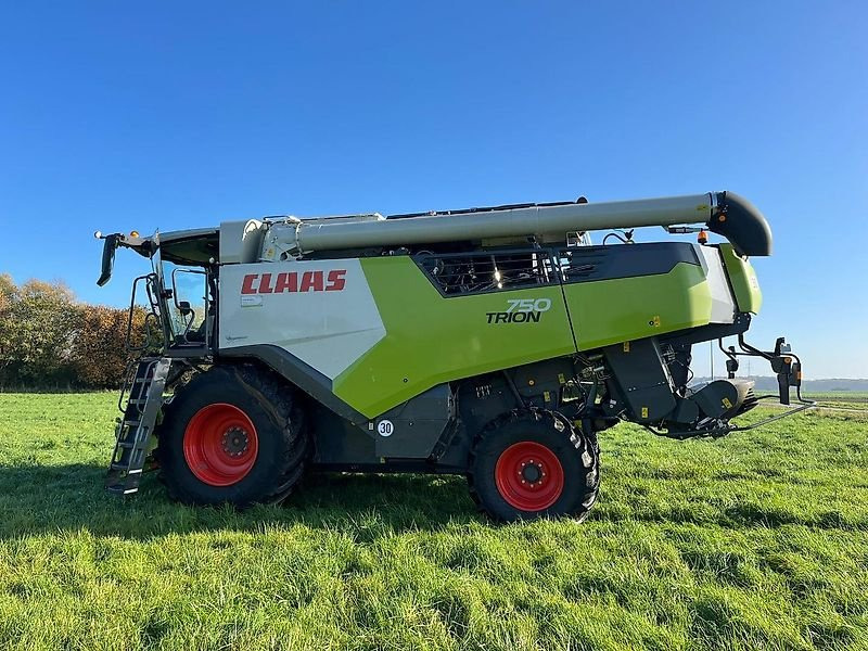 Leje en CLAAS Trion 750 CLAAS Trion 750: billede 19